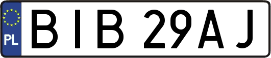 BIB29AJ