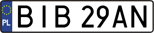 BIB29AN