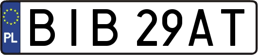 BIB29AT