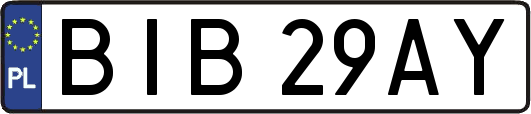 BIB29AY