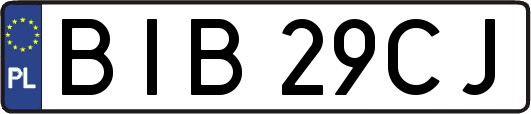 BIB29CJ
