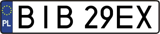 BIB29EX