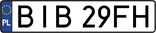 BIB29FH