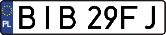 BIB29FJ