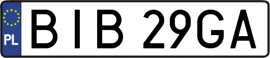 BIB29GA
