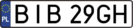 BIB29GH