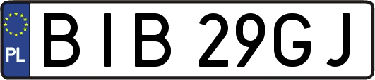 BIB29GJ