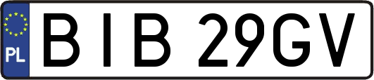 BIB29GV