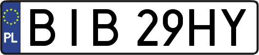 BIB29HY