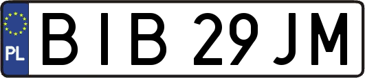 BIB29JM