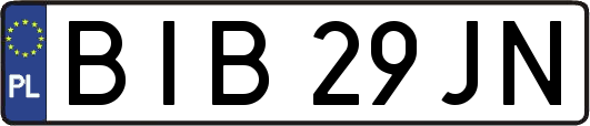 BIB29JN