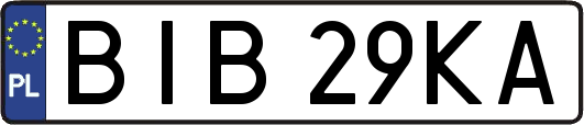 BIB29KA