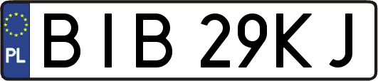 BIB29KJ