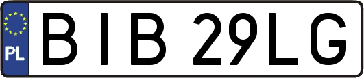 BIB29LG