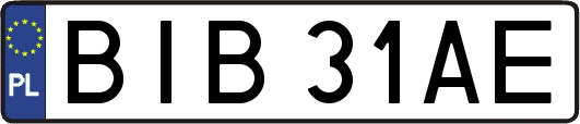 BIB31AE