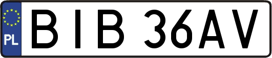BIB36AV