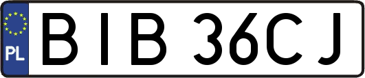 BIB36CJ