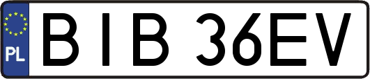 BIB36EV