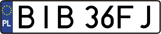 BIB36FJ
