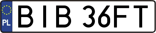 BIB36FT