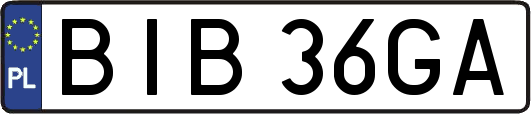 BIB36GA