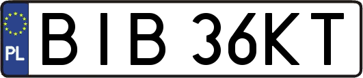 BIB36KT