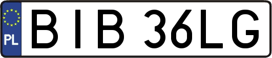 BIB36LG