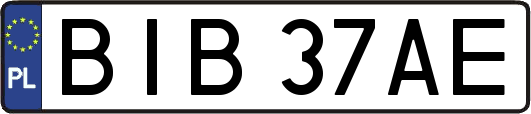 BIB37AE