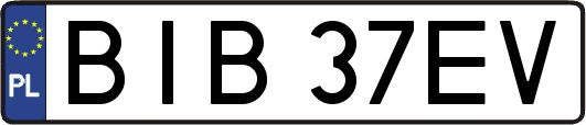 BIB37EV