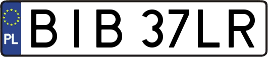 BIB37LR