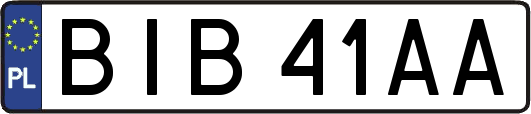 BIB41AA
