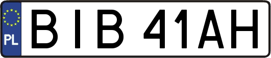 BIB41AH