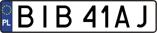 BIB41AJ
