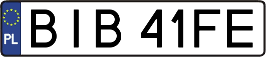 BIB41FE