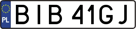 BIB41GJ