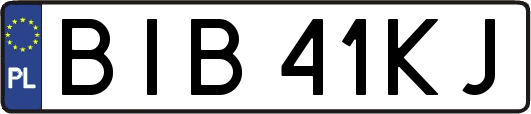 BIB41KJ
