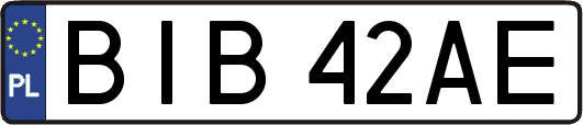BIB42AE