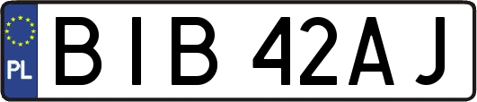 BIB42AJ