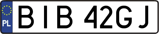 BIB42GJ