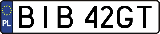BIB42GT