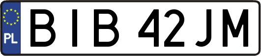 BIB42JM