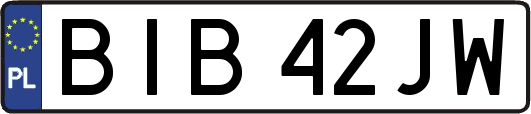 BIB42JW