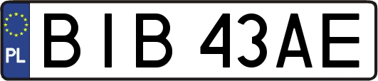 BIB43AE