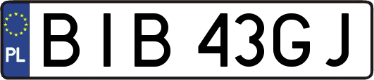 BIB43GJ