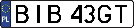 BIB43GT