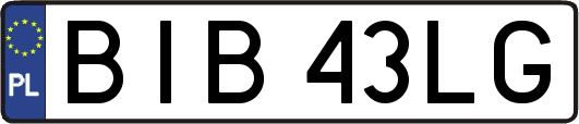 BIB43LG