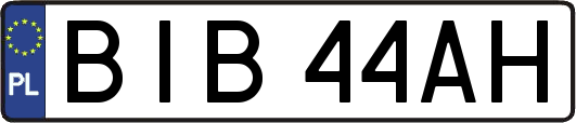 BIB44AH
