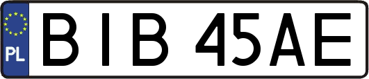 BIB45AE