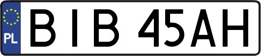 BIB45AH
