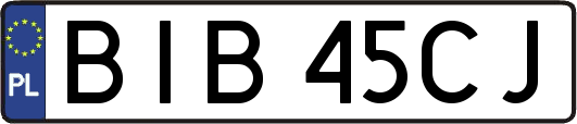 BIB45CJ